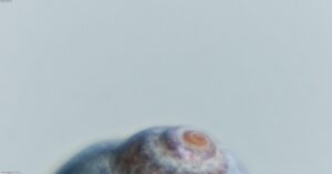 איך להגדיל תפוסה במתחם אירוח (צימרים, וילות ודירות נופש) — המדריך המלא ל־2025