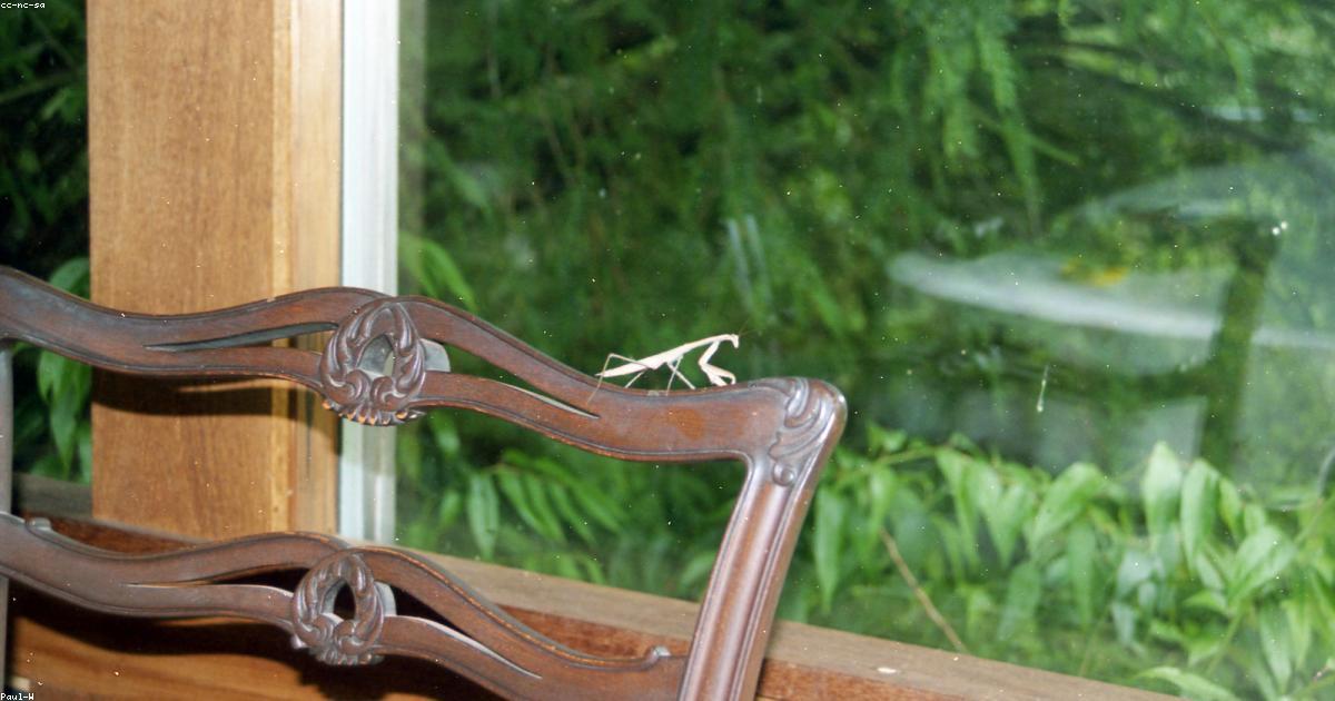 איך להגיב לביקורת שלילית ב-Airbnb — מדריך לבעלי נכסים