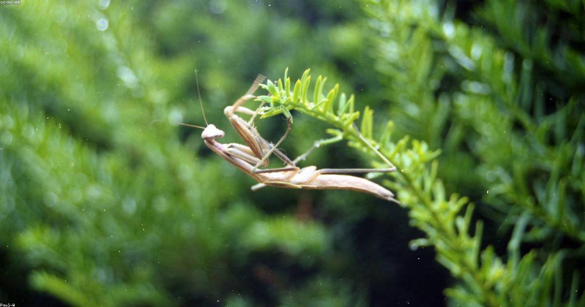 איך לכתוב כותרת מנצחת לנכס ב-Airbnb שמגדילה קליקים ניהול נכס