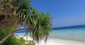 איך למלא יומן בצימר לאורך כל השנה – מדריך לבעלי צימרים ודירות נופש