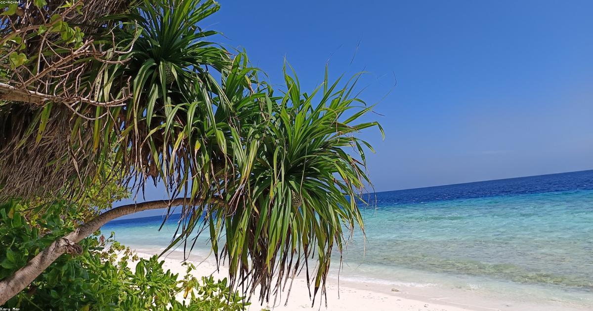 איך למלא יומן בצימר לאורך כל השנה – מדריך לבעלי צימרים ודירות נופש