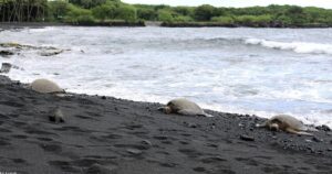 rb d d d a d cd a d d c d ed a d a d a d a d bd a d d a d d a d a d d d d ed a d d aa d d d a d — נכסי נופש RentalBoost