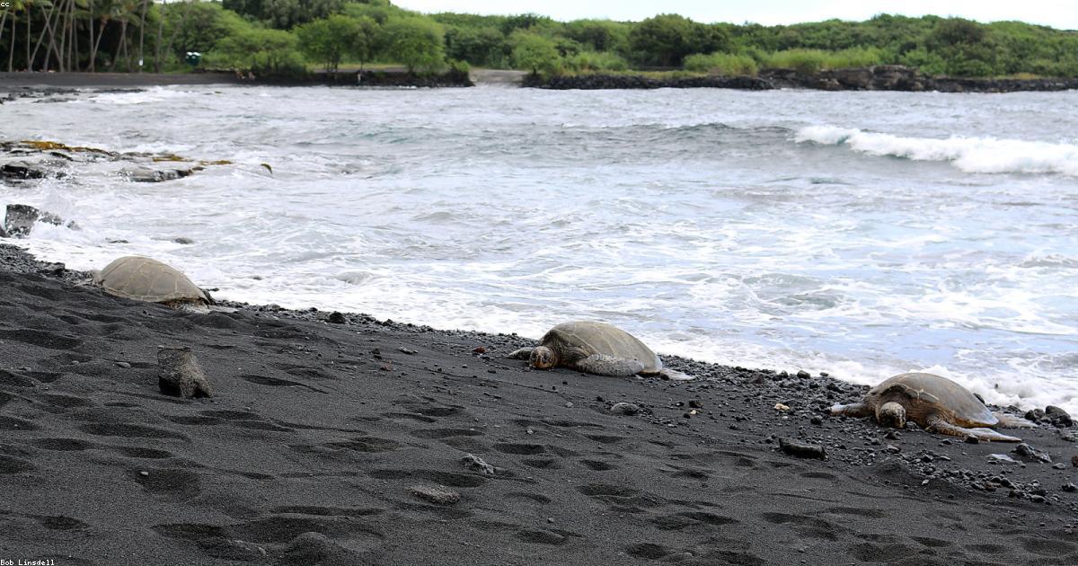 איך לנהל מספר נכסי נופש בו זמנית — טיפים וכלים