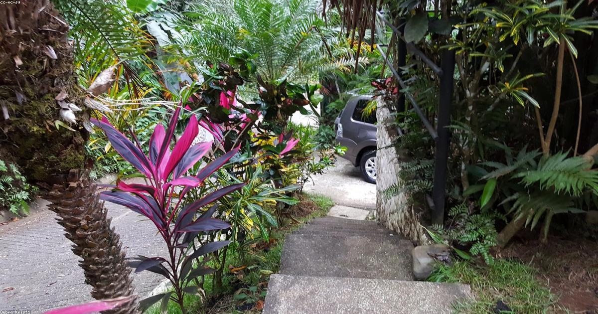 איך לשפר את ה-SEO של דף הנכס ב-Airbnb