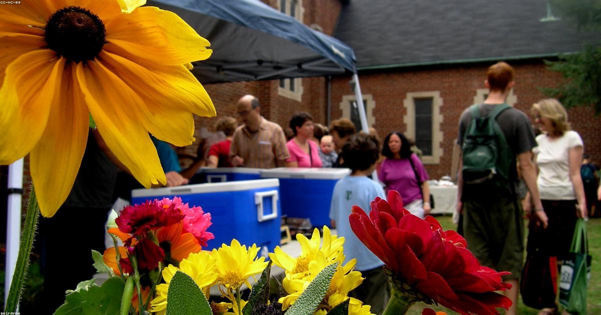 חורף בנכסי נופש – כיצד למלא הזמנות בתקופת שפל